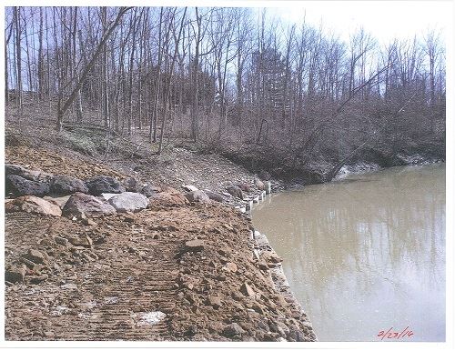 River shoreline near some rocks and tries