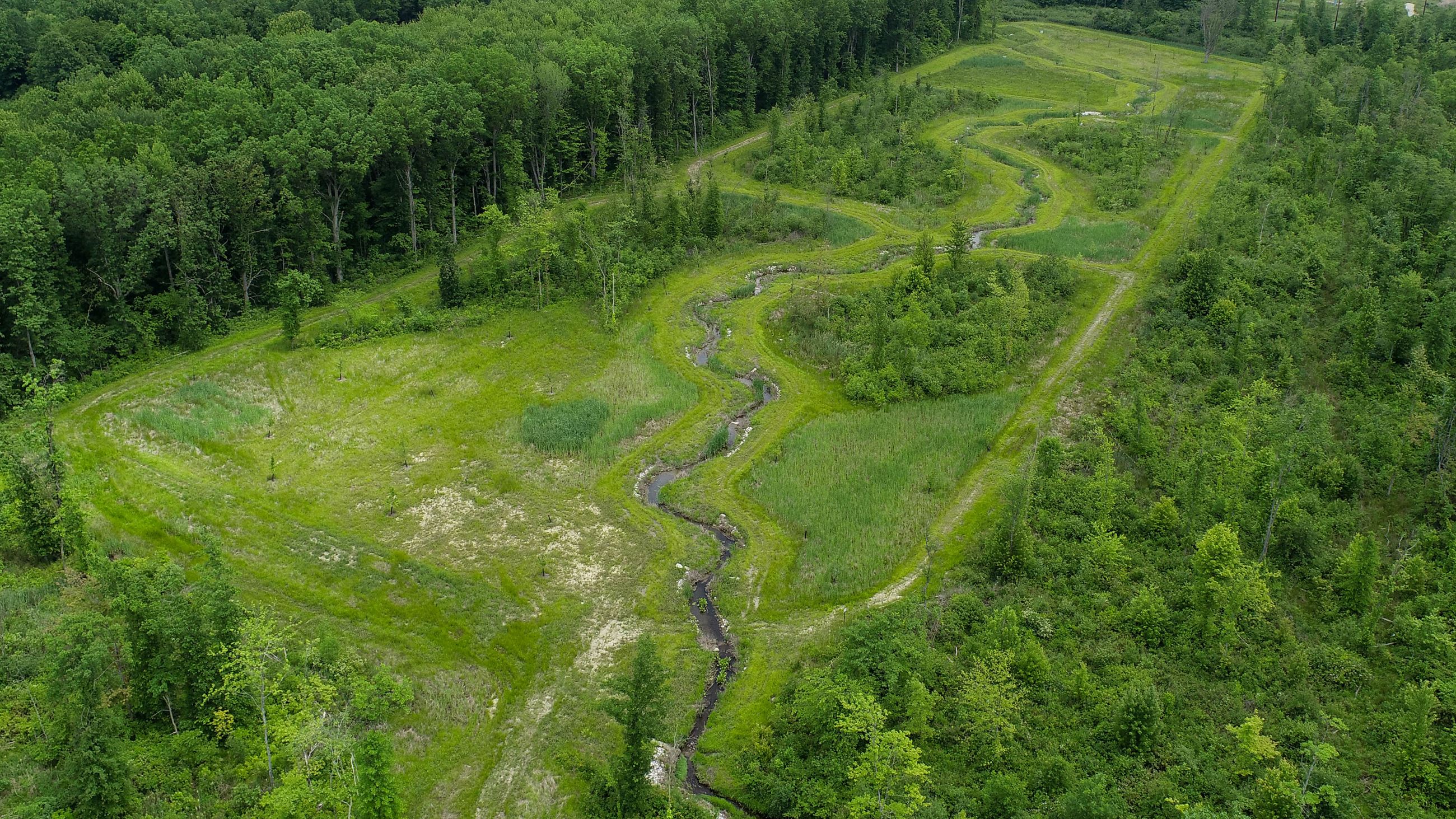 Coldwater Aerial View with greenery