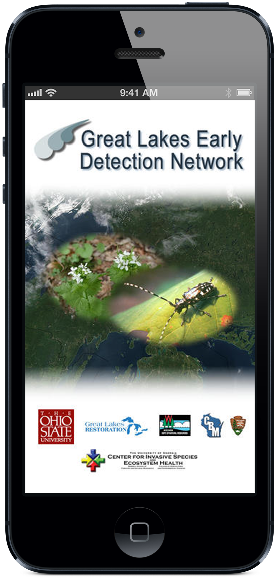 GLEDNiPhone Opens in new window